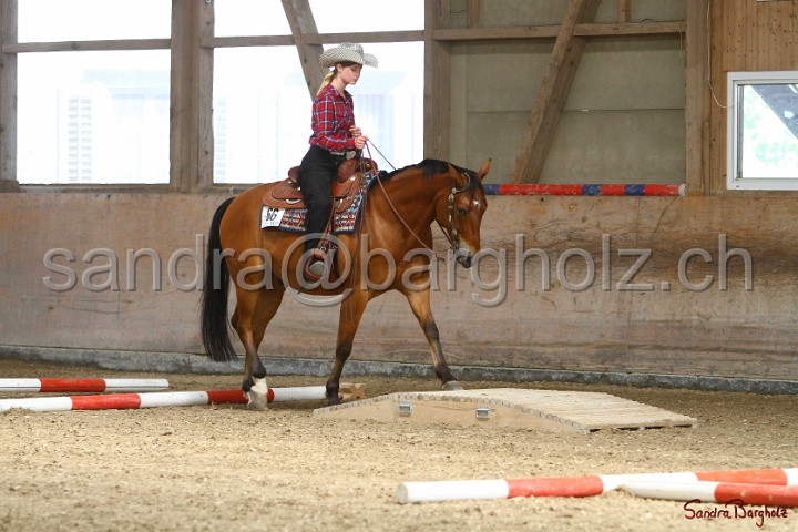26-ApHC GT_046.jpg